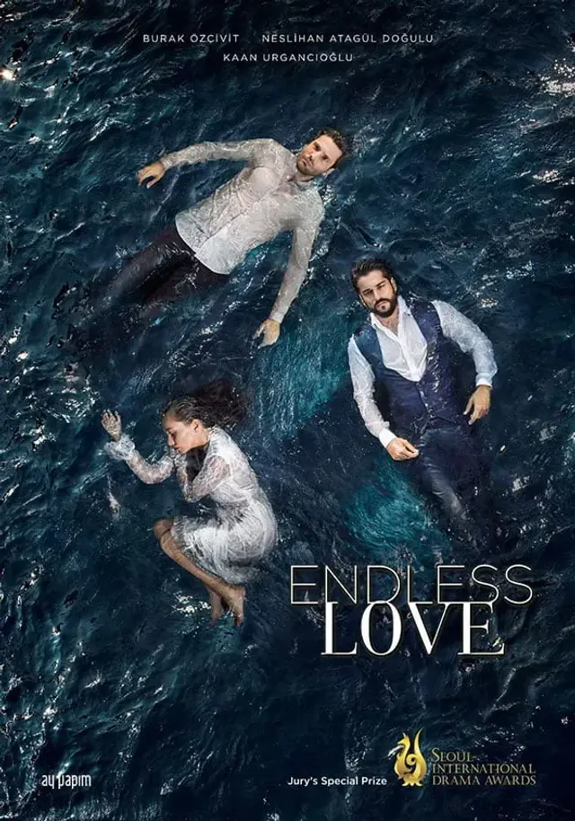 سریال عشق بی پایان (Endless Love) پوستر