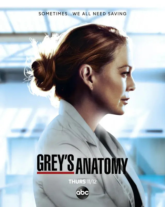 سریال آناتومی گری (Grey's Anatomy) پوستر