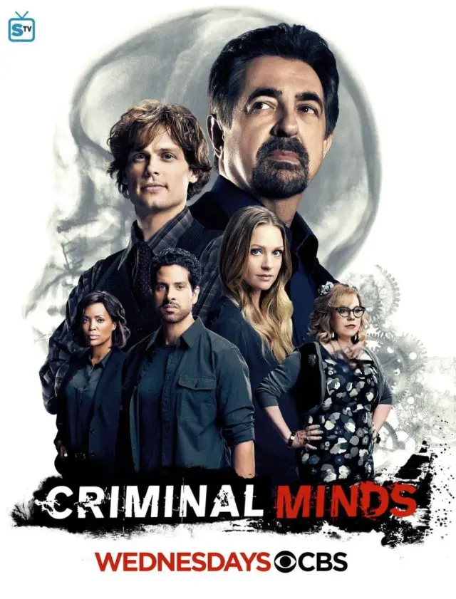 سریال ذهن‌های جنایتکار (Criminal Minds) پوستر