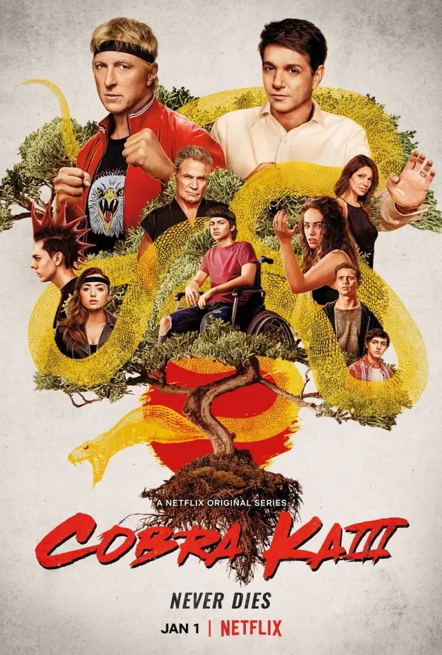 سریال کبرا کای (Cobra Kai) پوستر