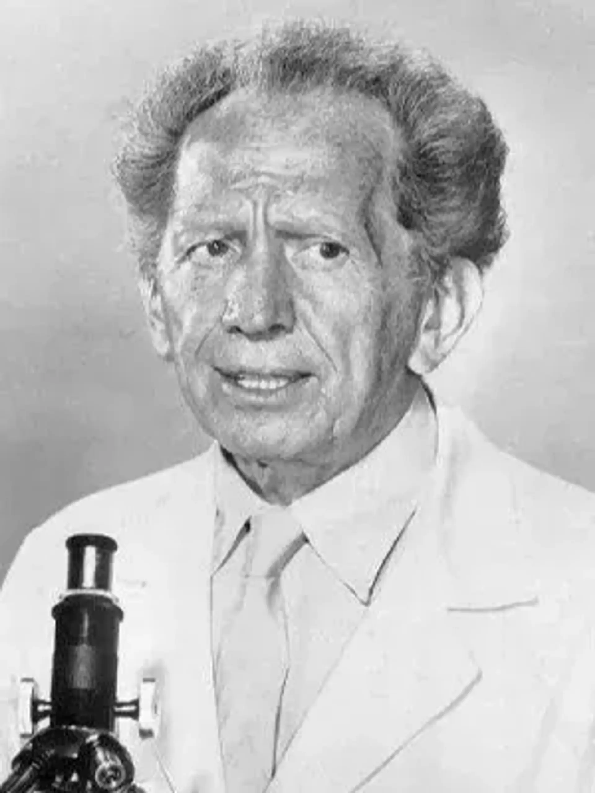 سام جافه