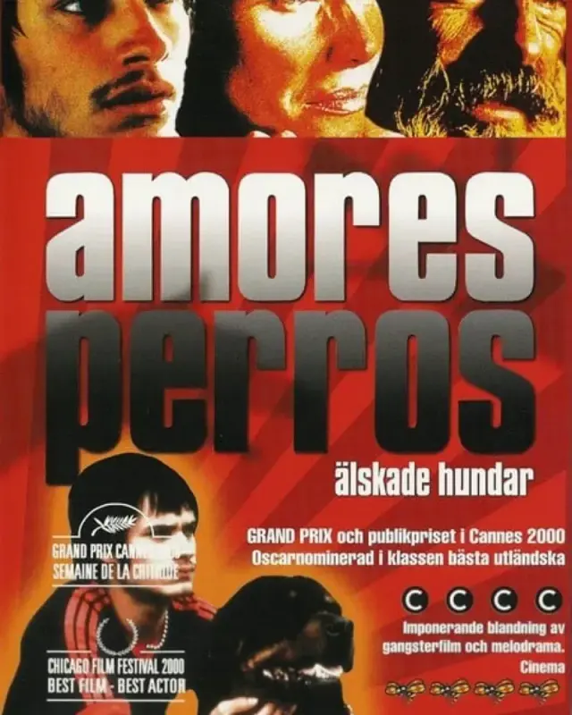 فیلم عشق سگی (Amores Perros) پوستر