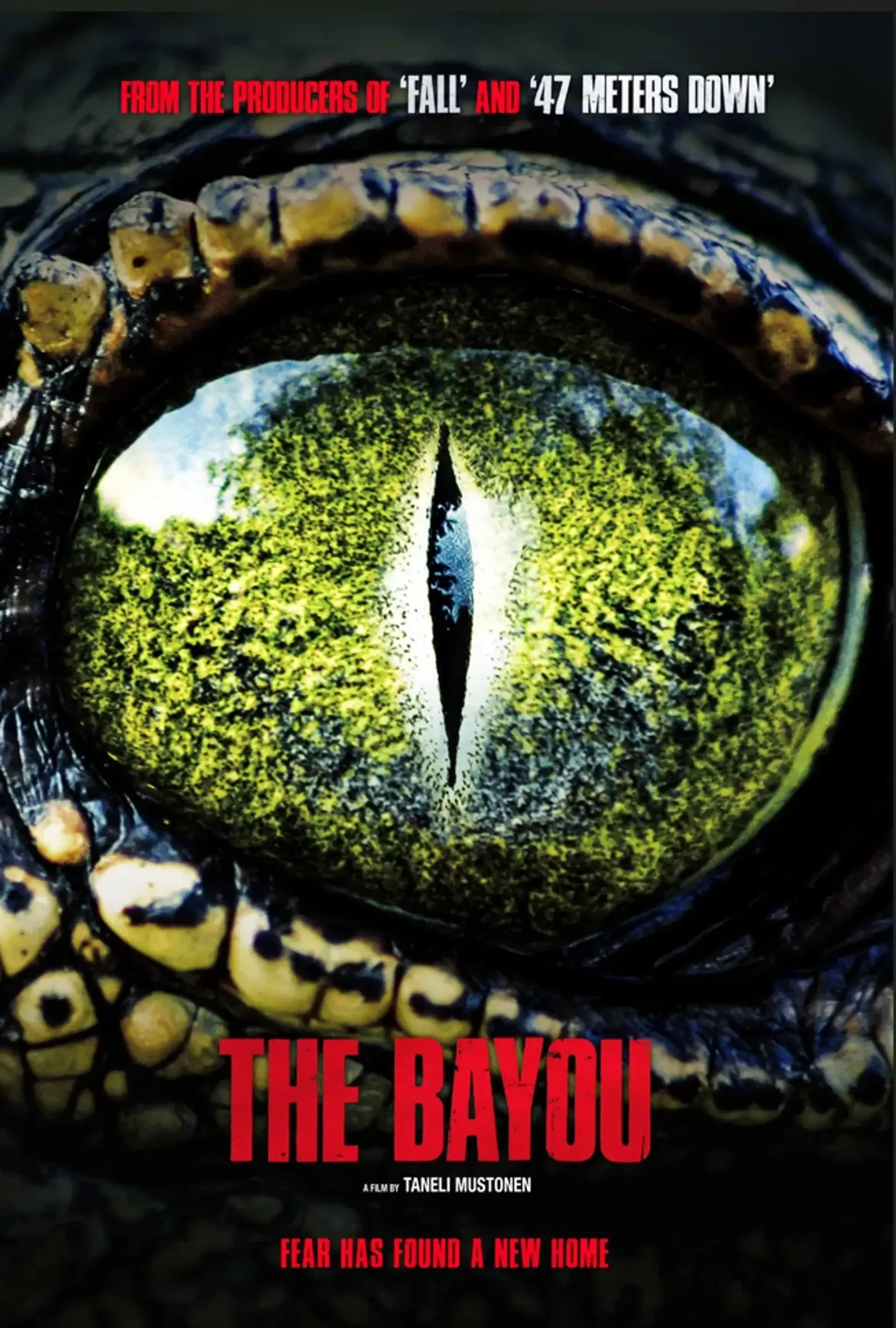 فیلم مرداب 2025