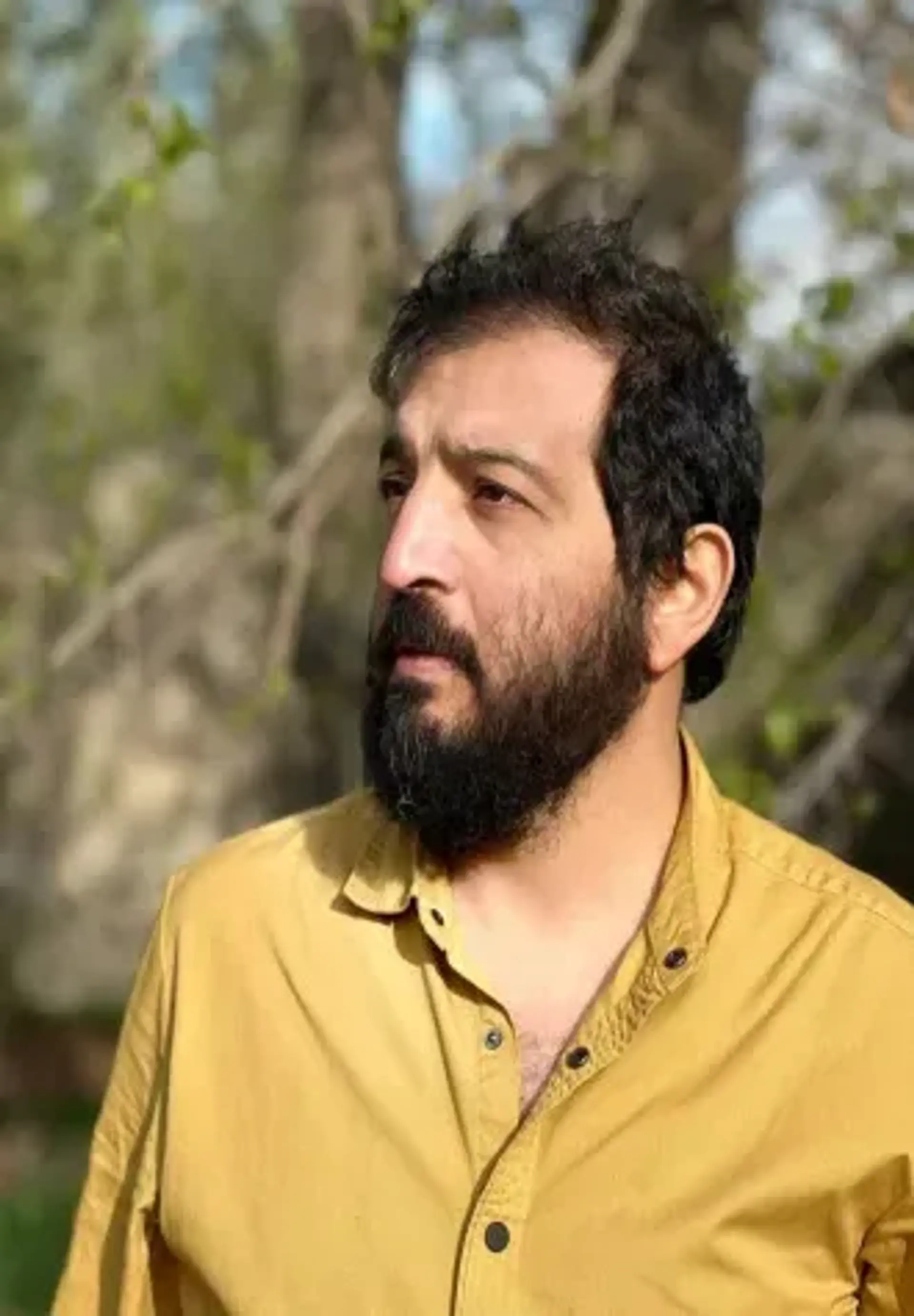 حامد شیخی