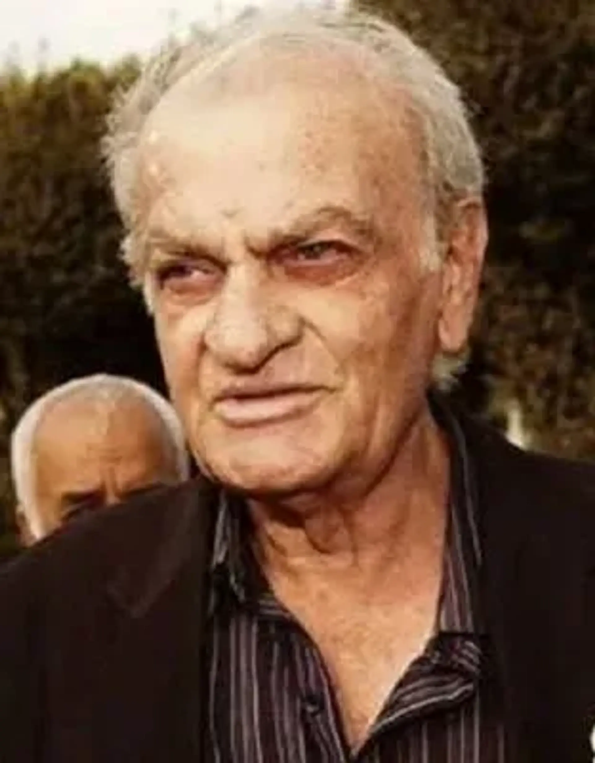 فتحعلی  اویسی