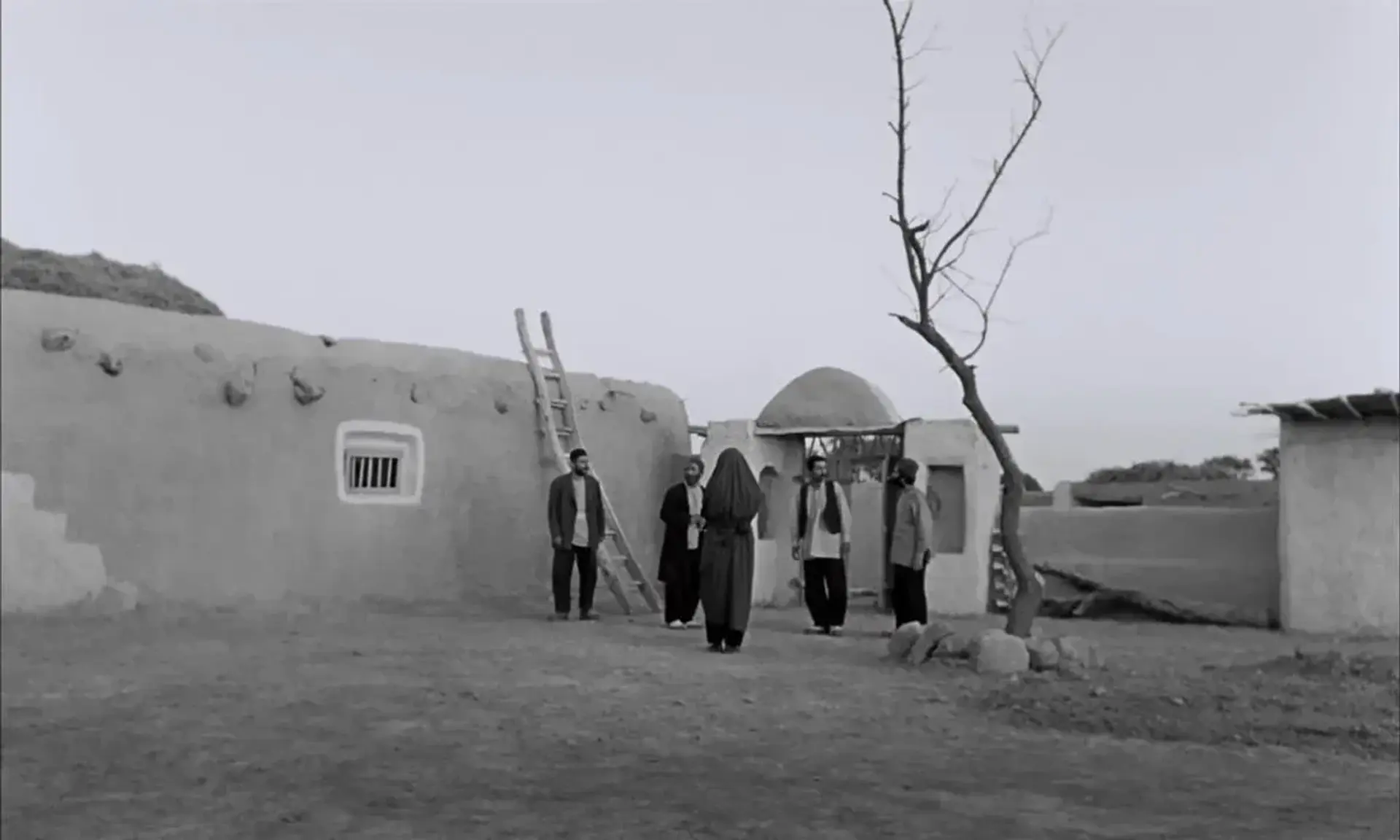 دانلود فیلم گاو 1348