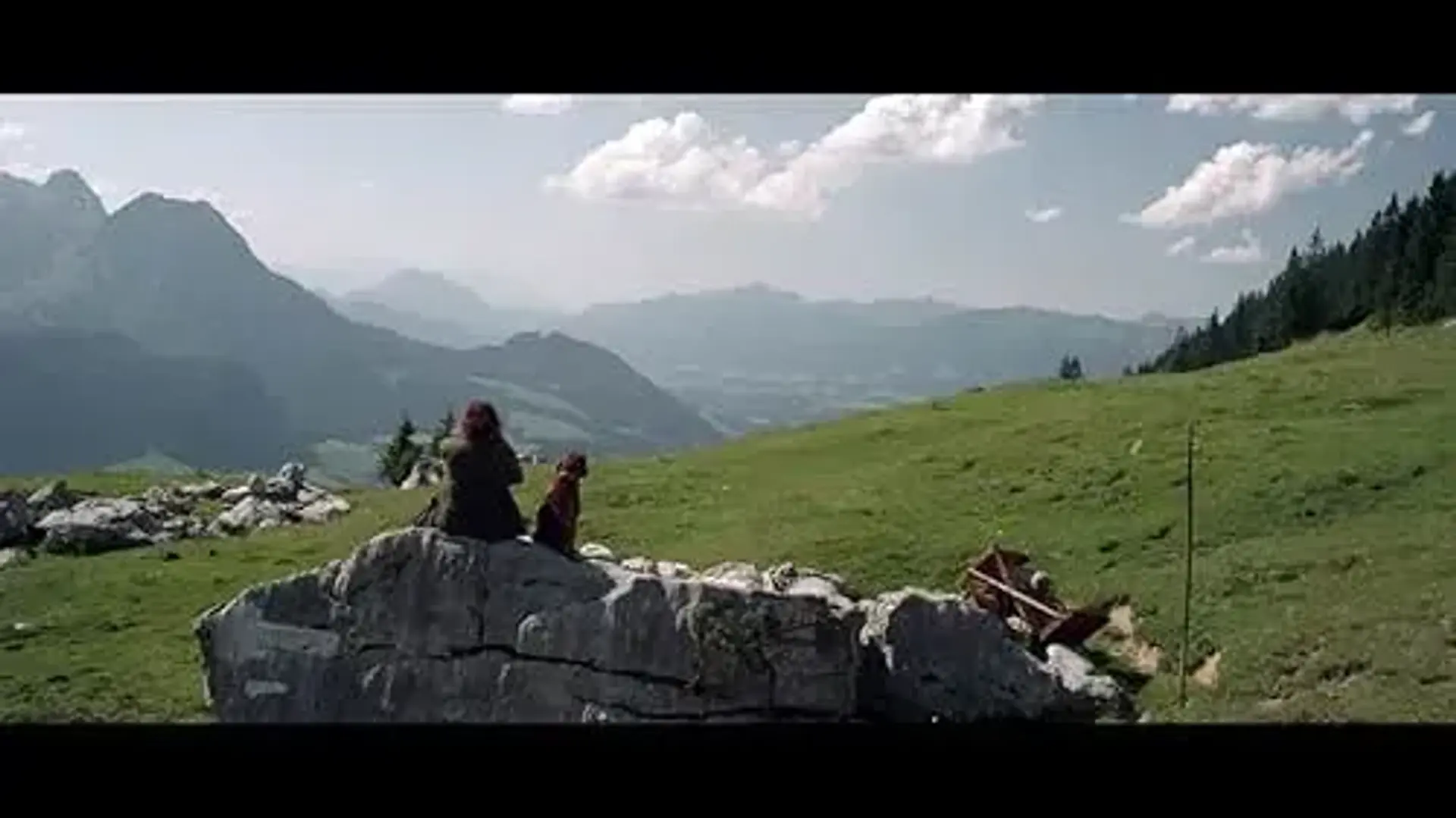 دانلود فیلم دیوار 2012