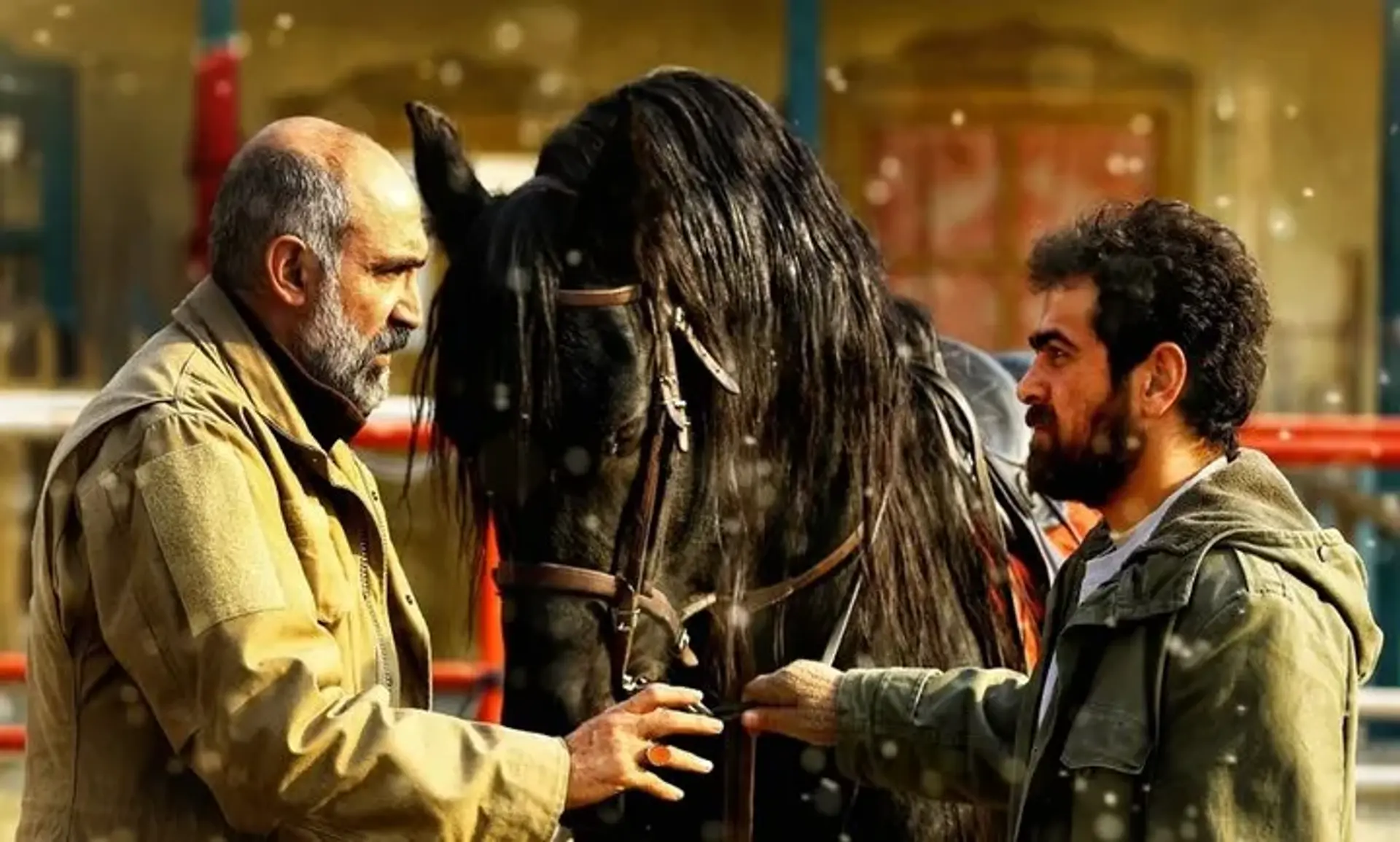 اکران کوسه ناتوردشت و ناجورها قطعی شد