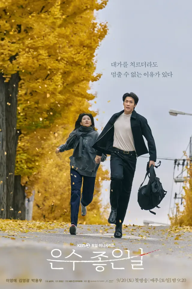 سریال راه رفتن روی یخ نازک (Walking on Thin Ice) پوستر