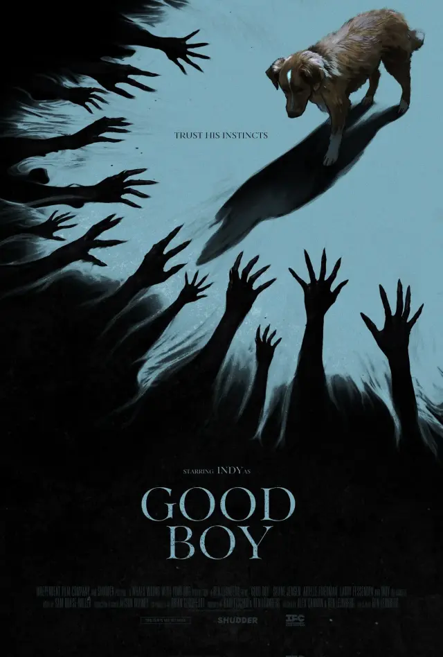 فیلم پسر خوب 2025 (Good Boy) پوستر