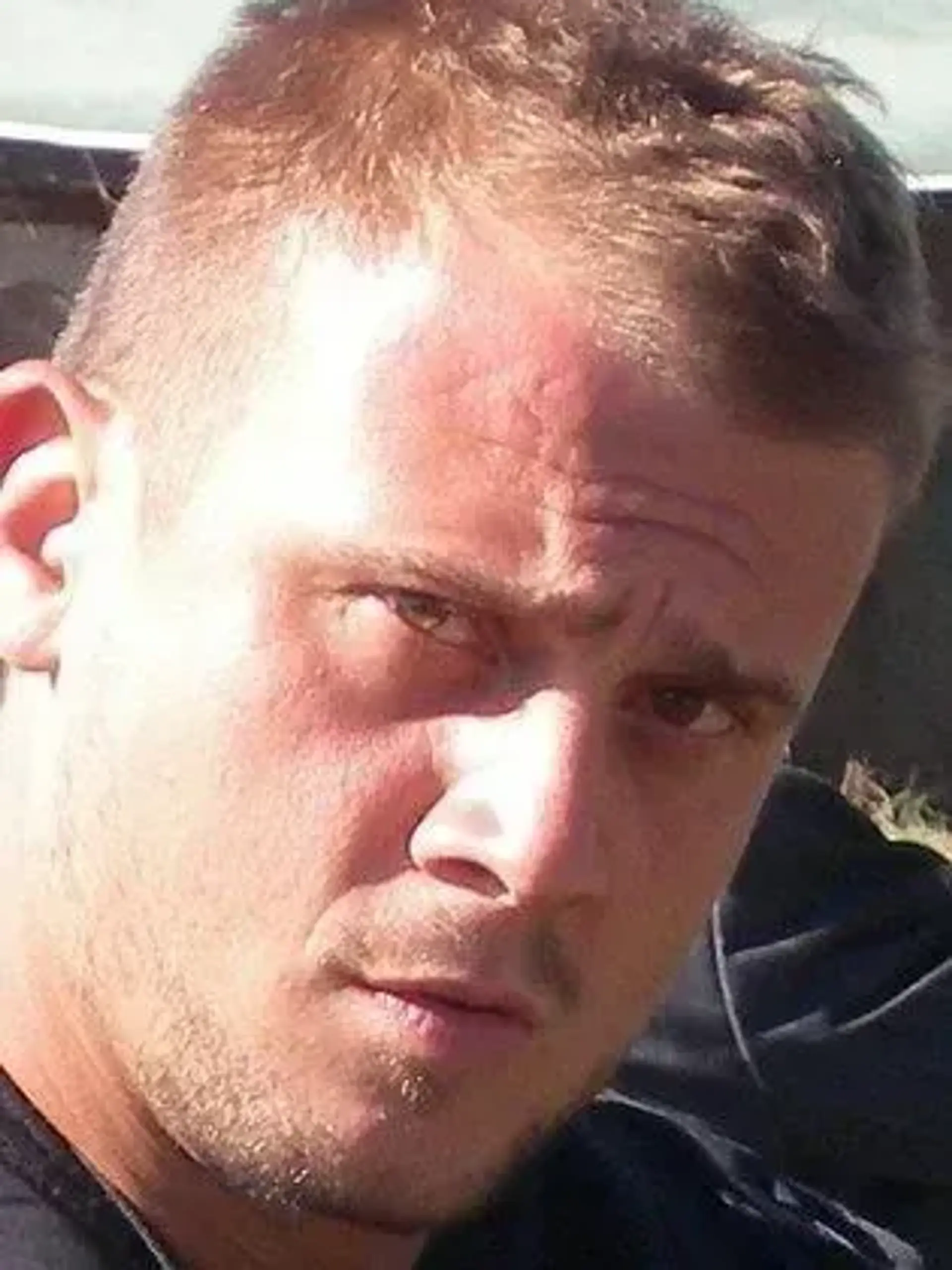 مایک استراوب