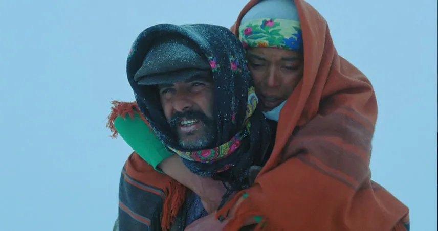 فیلم سینمایی ترکی