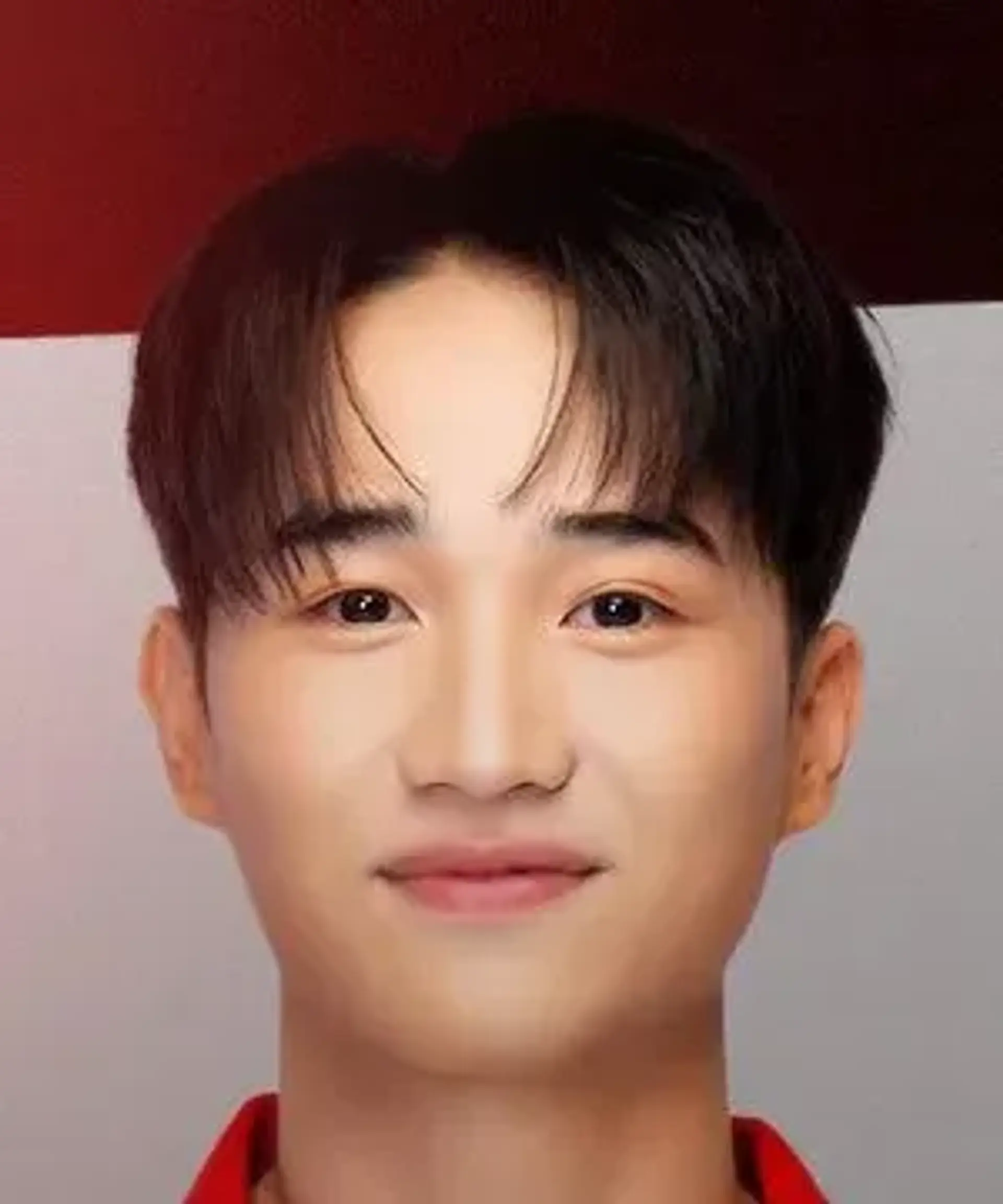 نی نتیپات لوکساناویسیس